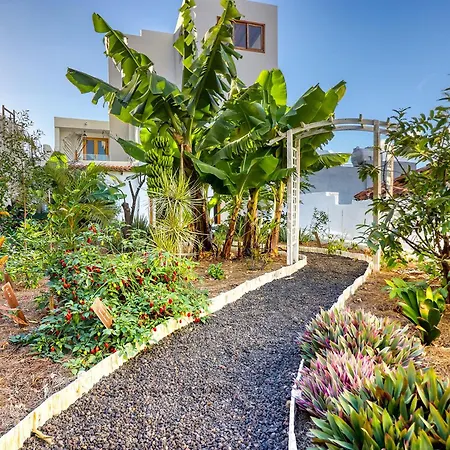 Spacious With Tropical Garden, Bbq, Near Seaside Ferienhaus