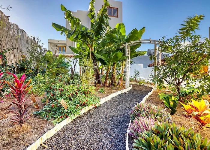 Spacious With Tropical Garden, Bbq, Near Seaside Holiday home