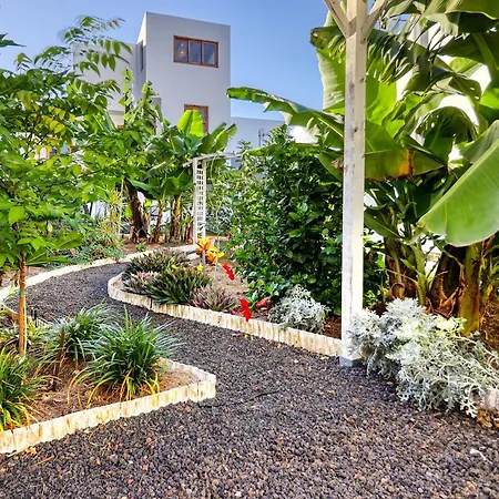 Spacious With Tropical Garden, Bbq, Near Seaside * Los Silos